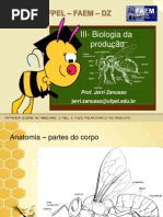 III-Biologia-da-produção.ppt