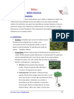 Reino Vegetal PDF