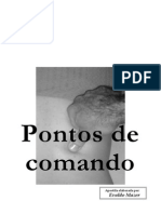 Apostila de Pontos de Comando