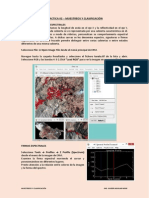 Practica 02 - Muestreos y Clasificación PDF
