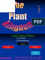 14 Plant Kingdom Part Two
