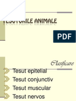 Tesuturileanimale