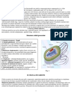 Structura celulei.doc