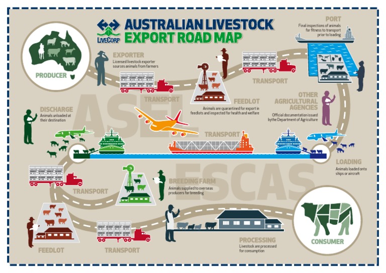 Livestock Export Process Overview | PDF