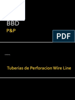 Línea de Producción de P&P (Español).pptx
