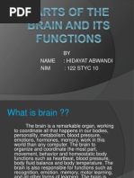 Parts of the Brain and Its Fungtions