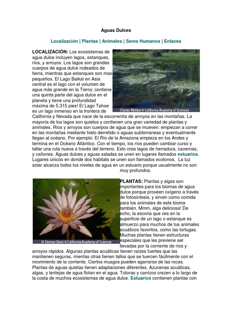 Aguas Dulces 6°.docx lago Agua dulce Prueba gratuita de 30 días