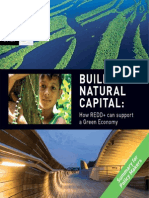 Building Natural Capital: How REDD+ Can Support A Green Economy - Summary For Policy Makers