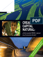 Building Natural Capital: How REDD+ Can Support A Green Economy - Summary For Policy Makers (Spanish)