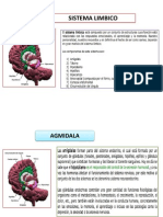 Sistema Limbico