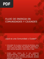FLUJO DE ENERGIA EN COMUNIDADES Y CIUDADES.pptx