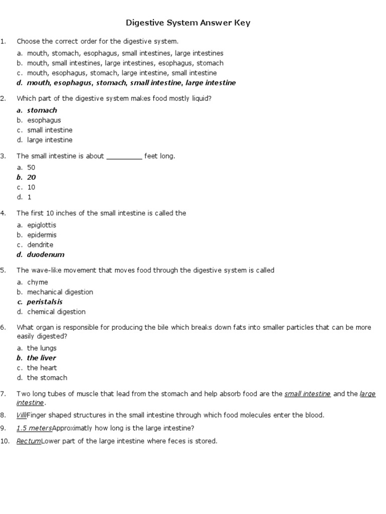 Digestive System Answer Key HelpTeaching PDF