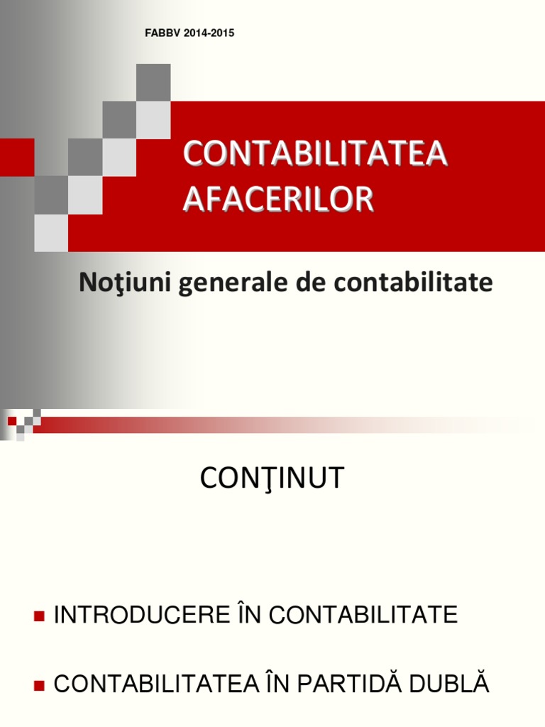 Introducere in Contabilitate Ms Fabbv | PDF