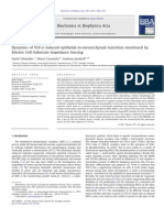 Dynamics of TGF-β Induced Epithelial-To-mesenchymal Transition Monitored