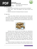 Download Laporan Praktikum Isolasi Minyak Jahe by Lily_Stitch SN244732843 doc pdf