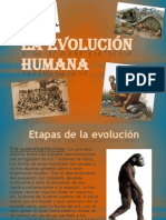La Evolución Humana