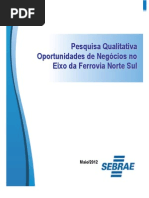 ESTUDO DE MERCADO-OPORTUNID DE NEGÓCIOS CIDADES DE GOIÁS por região, e em função da ferrrovia norte sul.pdf
