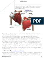 Tendinitis Del Supraespinoso PDF