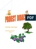 18 Proiect Didactic