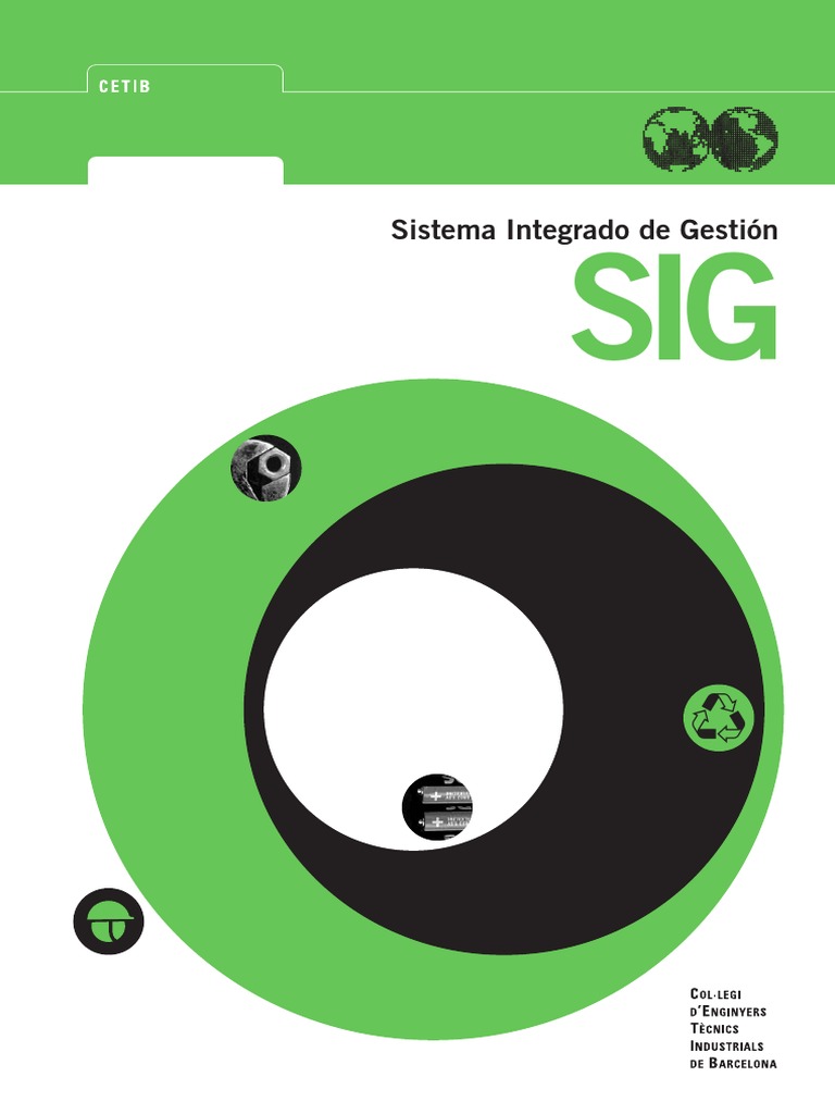 Manual del Sistema Integrado de Gestión | PDF | Sistema de información ...