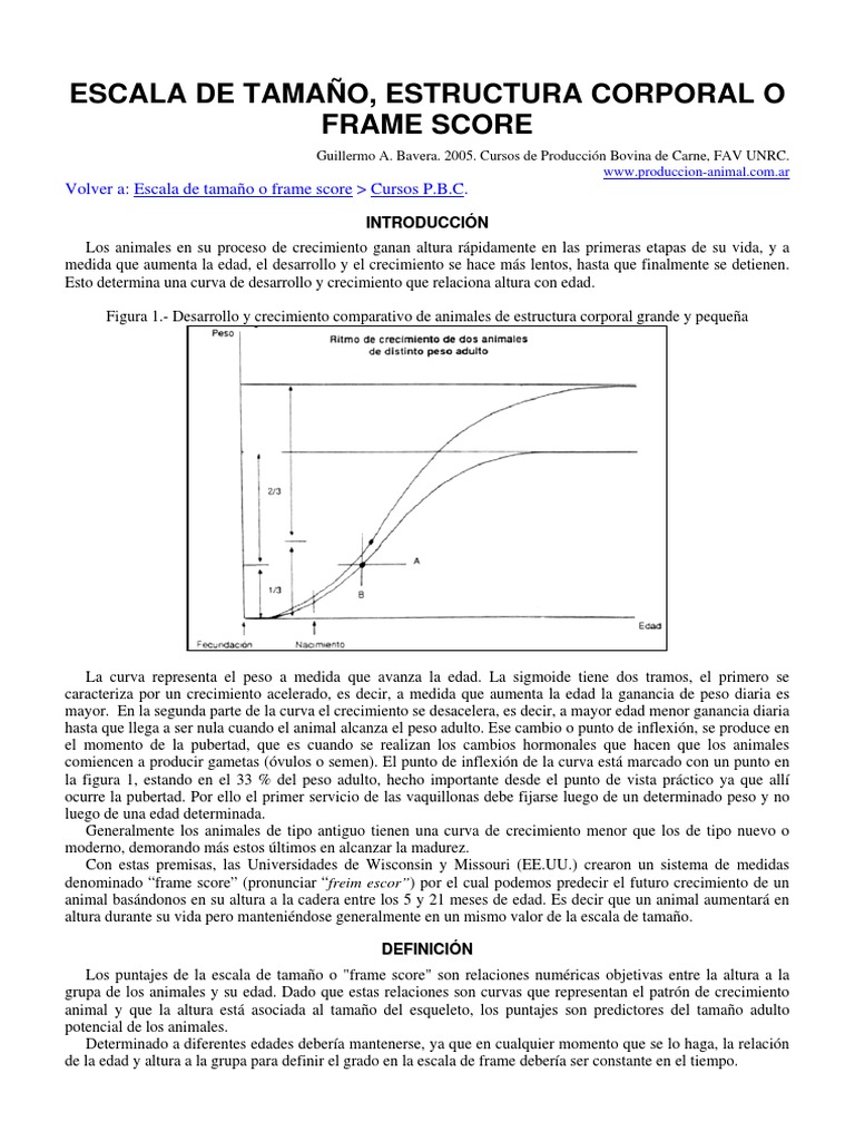 Frame Score en Bovinos: Definición y Uso | PDF | Medición | Vacas