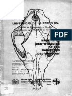 Manual de Identificación de Mamíferos. Langguth PDF