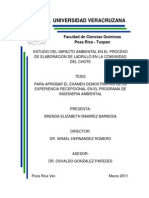 149957194-tesis-ladrilleras.pdf