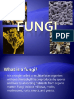 Fungi