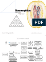 bioenergetica mod 4.pdf