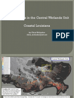 Central Wetlands Unit Subsidence