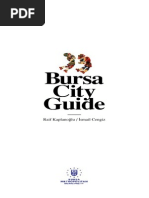 Bursa City Guide 2009