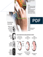 cancercell.pdf