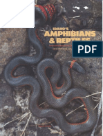 Leaflet Amphibian