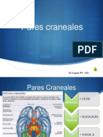 Pares Craneales