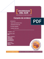 Carpeta de Evidencias