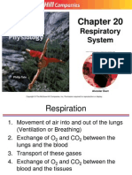 Respiratory System