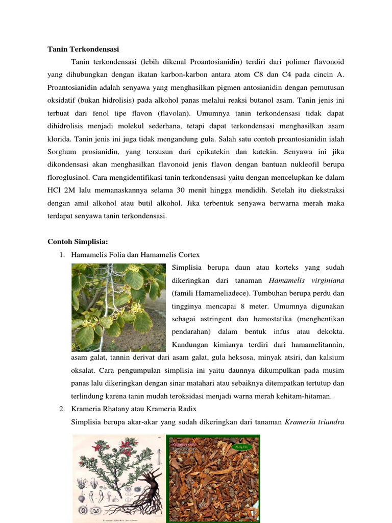Makalah Tanin Terkondensasi | PDF
