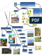 Mapa Mental Sobre Ecosistemas