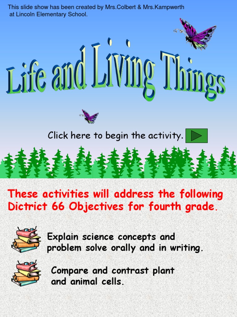 Cells: Click Here To Begin The Activity | PDF | Home & Garden | Wellness