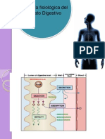 Fisiologia - Digestivo