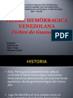 Fiebre Hemorragica Venezolana