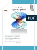 Proyecto 6 Calculo