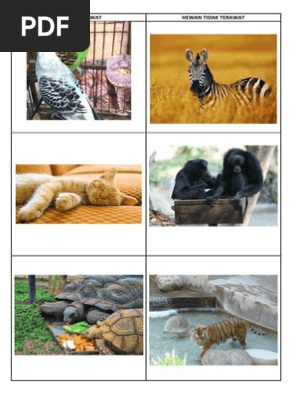 74 Gambar Hewan Dan Tumbuhan Yang Tidak Terawat Terbaru