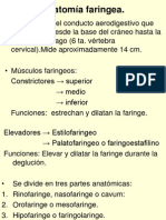 7377695-Anatomia-Faringea.ppt