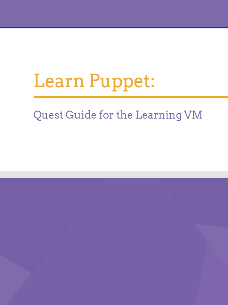 Learn Puppet Quest Guide For The Learning VM PDF Virtual Machine