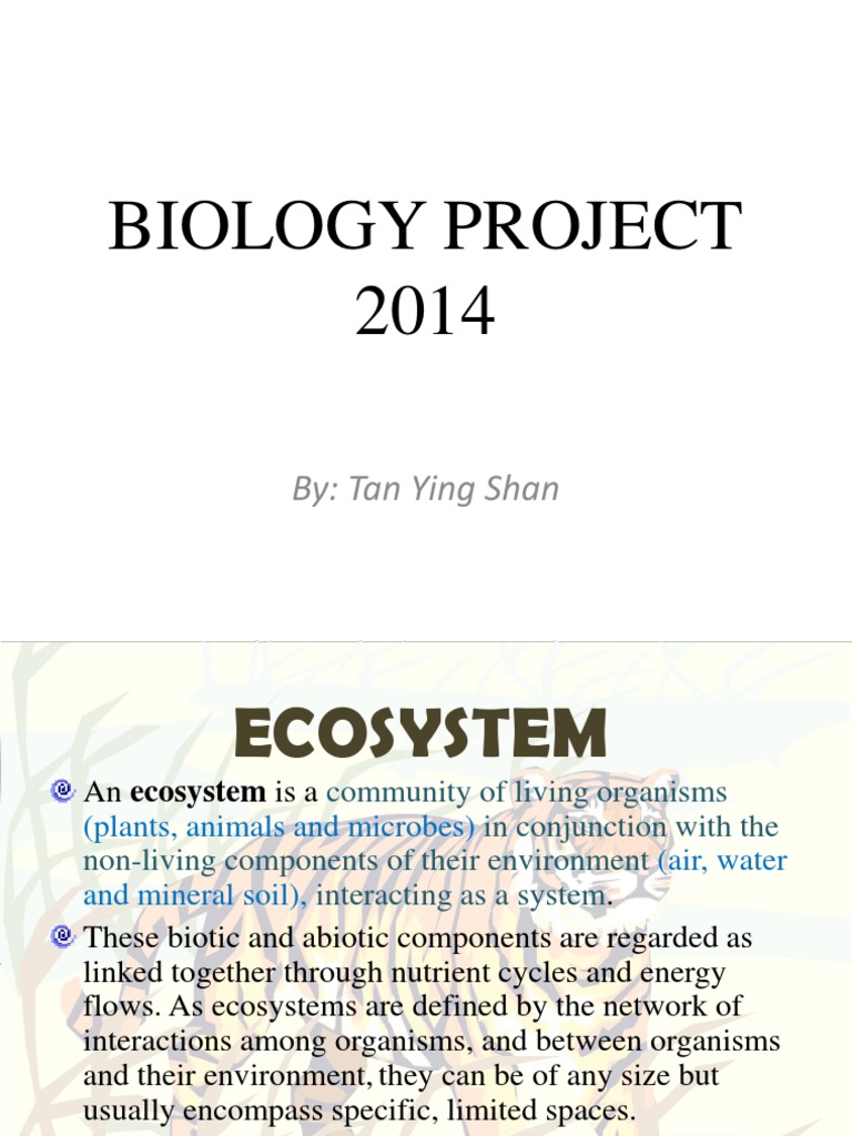 Biology Project 2014: By: Tan Ying Shan | PDF | Ecosystem | Natural ...