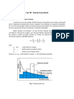 3 Functia de Productie