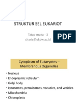 Tatap Muka 3-3 - 2-Struktur Sel Eukariot-Charis 2014