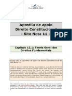 Apostila de Apoio-cap 12 1-Teoria Geral Dos Direitos Fundamentais