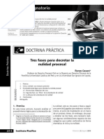 Renzo Cavani - Tres Fases para Decretar La Nulidad Procesal